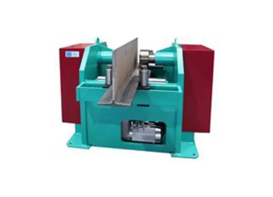 STIERLI BIEGER   FRM